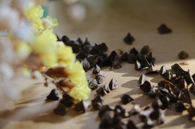 Filled with all-natural buckwheat hulls, grown in Australia